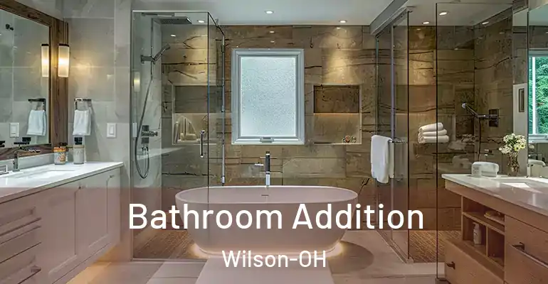 inner Bathroom imggen Bathroom Addition Wilson-OH