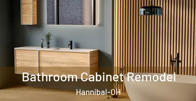 inner Bathroom imggen Bathroom Cabinet Remodel Hannibal-OH