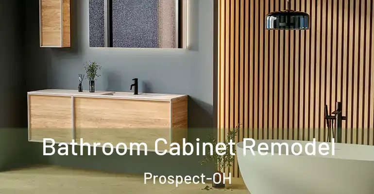 inner Bathroom imggen Bathroom Cabinet Remodel Prospect-OH