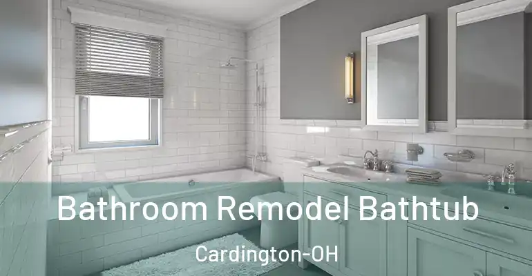 inner Bathroom imggen Bathroom Remodel Bathtub Cardington-OH