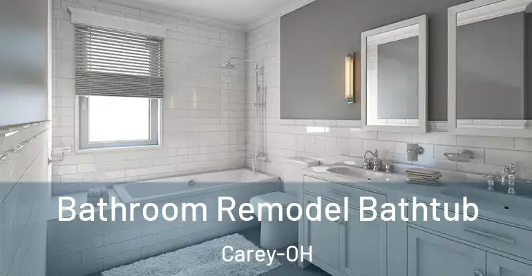 inner Bathroom imggen Bathroom Remodel Bathtub Carey-OH