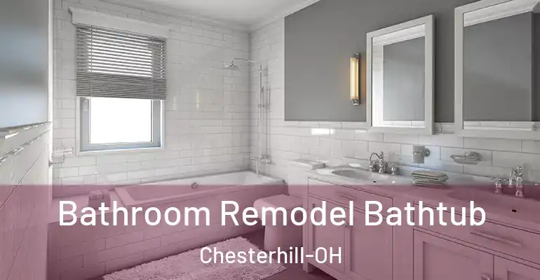 inner Bathroom imggen Bathroom Remodel Bathtub Chesterhill-OH