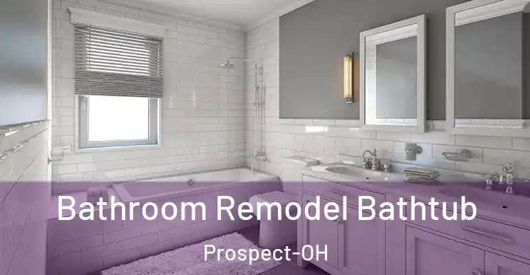 inner Bathroom imggen Bathroom Remodel Bathtub Prospect-OH