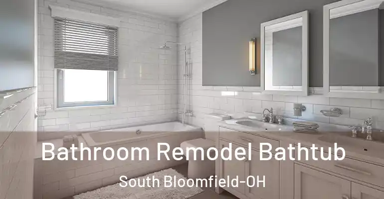 inner Bathroom imggen Bathroom Remodel Bathtub South Bloomfield-OH
