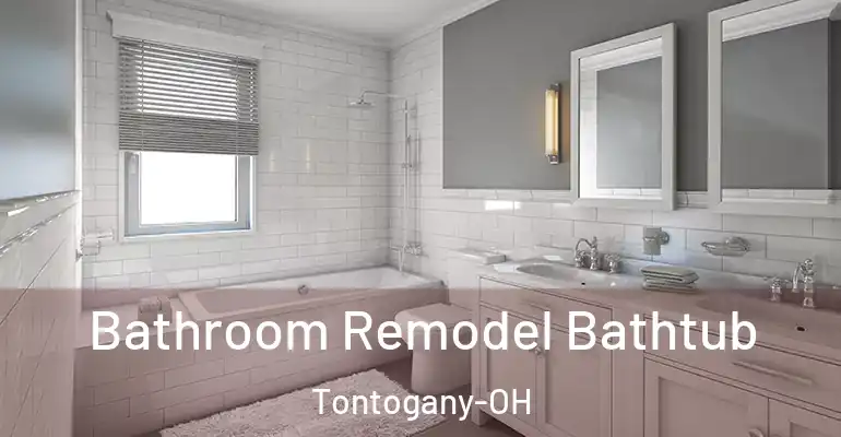 inner Bathroom imggen Bathroom Remodel Bathtub Tontogany-OH