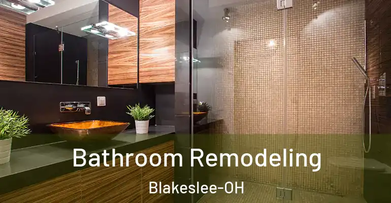 inner Bathroom imggen Bathroom Remodeling Blakeslee-OH