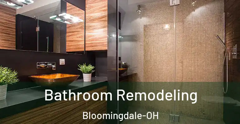 inner Bathroom imggen Bathroom Remodeling Bloomingdale-OH