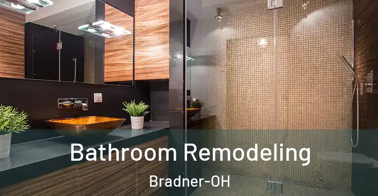 inner Bathroom imggen Bathroom Remodeling Bradner-OH