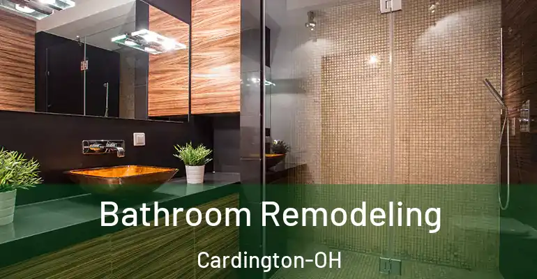 inner Bathroom imggen Bathroom Remodeling Cardington-OH