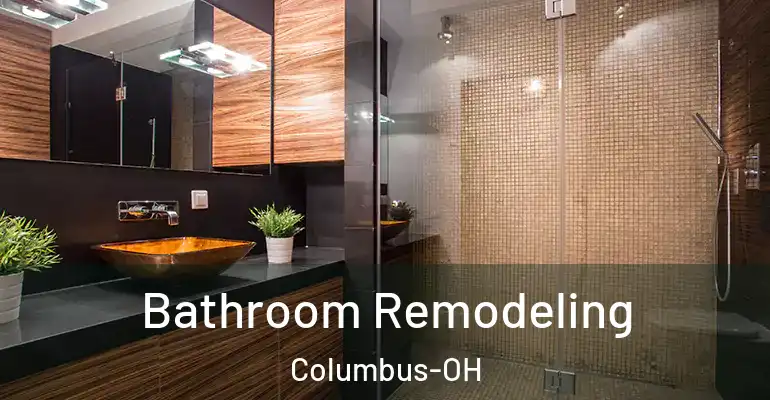inner Bathroom imggen Bathroom Remodeling Columbus-OH