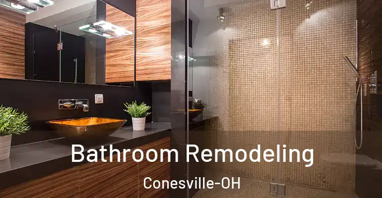 inner Bathroom imggen Bathroom Remodeling Conesville-OH