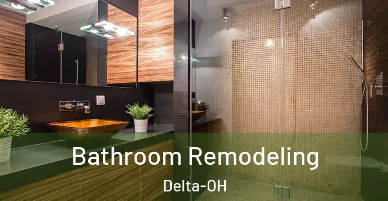 inner Bathroom imggen Bathroom Remodeling Delta-OH