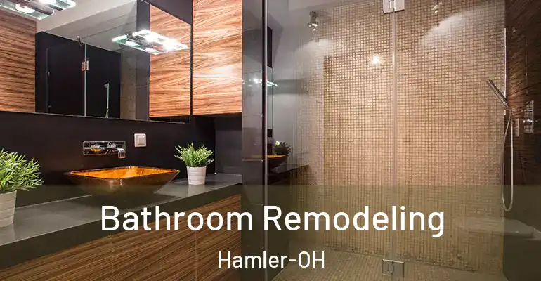 inner Bathroom imggen Bathroom Remodeling Hamler-OH