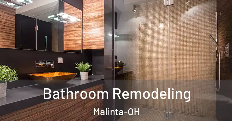 inner Bathroom imggen Bathroom Remodeling Malinta-OH