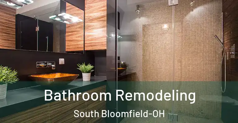 inner Bathroom imggen Bathroom Remodeling South Bloomfield-OH