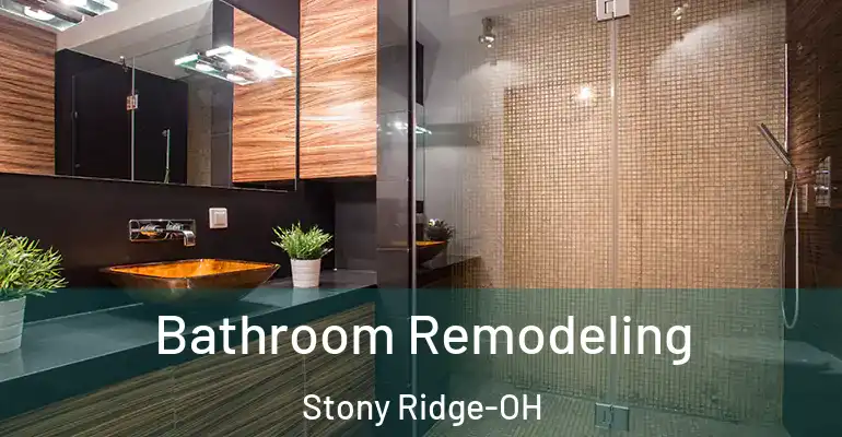 inner Bathroom imggen Bathroom Remodeling Stony Ridge-OH