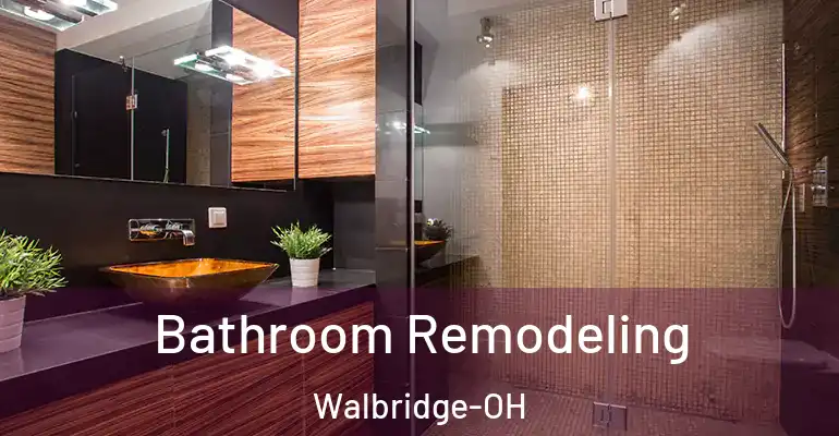 inner Bathroom imggen Bathroom Remodeling Walbridge-OH