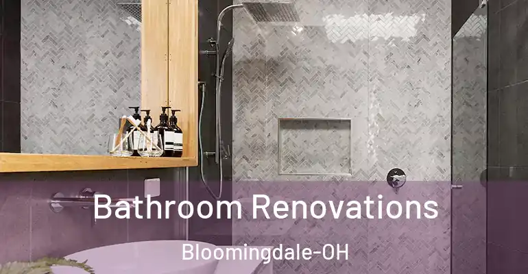 inner Bathroom imggen Bathroom Renovations Bloomingdale-OH