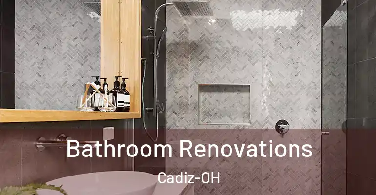 inner Bathroom imggen Bathroom Renovations Cadiz-OH