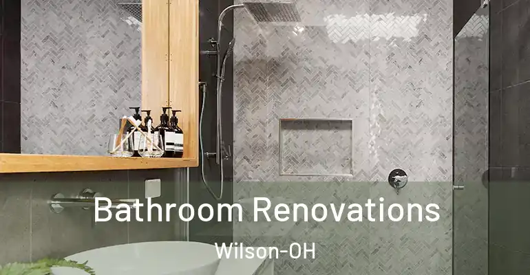 inner Bathroom imggen Bathroom Renovations Wilson-OH