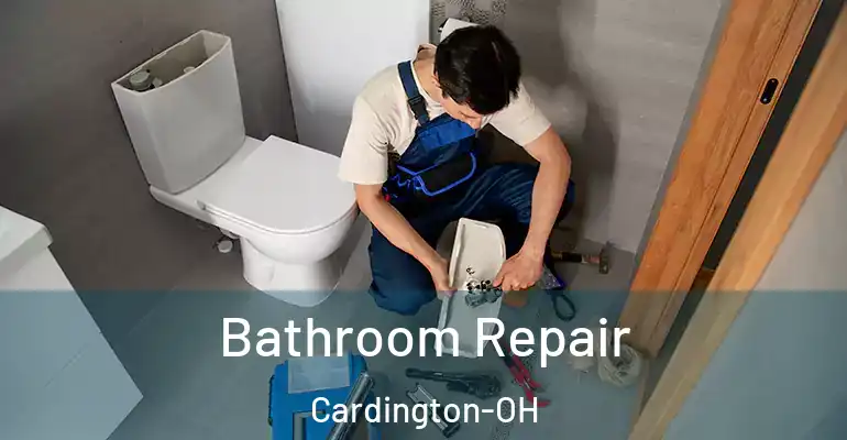 inner Bathroom imggen Bathroom Repair Cardington-OH