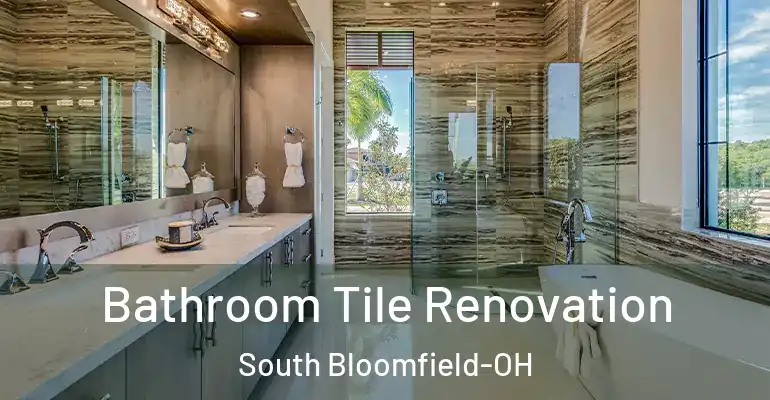 inner Bathroom imggen Bathroom Tile Renovation South Bloomfield-OH