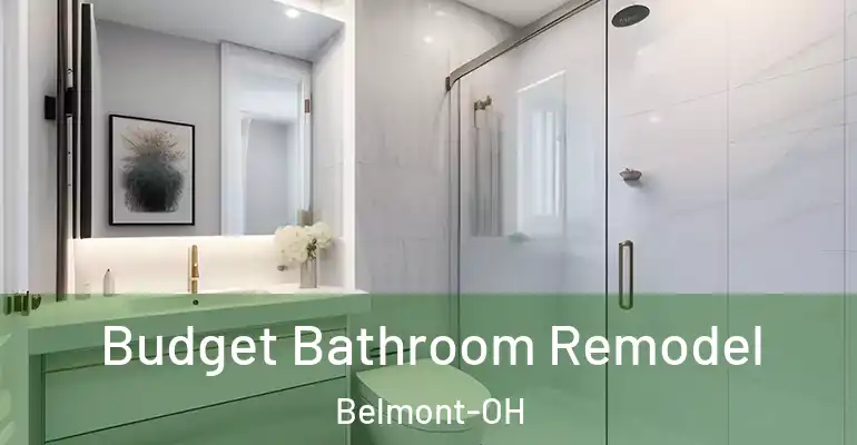 inner Bathroom imggen Budget Bathroom Remodel Belmont-OH