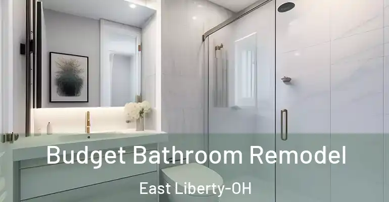 inner Bathroom imggen Budget Bathroom Remodel East Liberty-OH