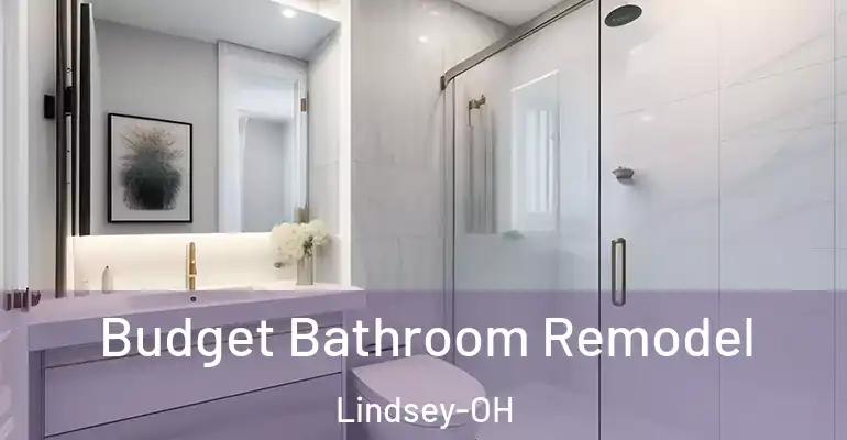inner Bathroom imggen Budget Bathroom Remodel Lindsey-OH