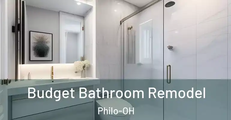inner Bathroom imggen Budget Bathroom Remodel Philo-OH