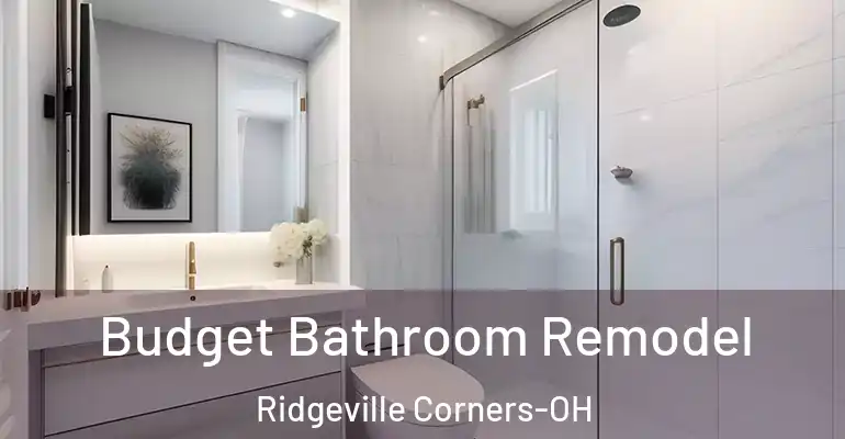 inner Bathroom imggen Budget Bathroom Remodel Ridgeville Corners-OH