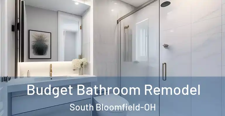 inner Bathroom imggen Budget Bathroom Remodel South Bloomfield-OH