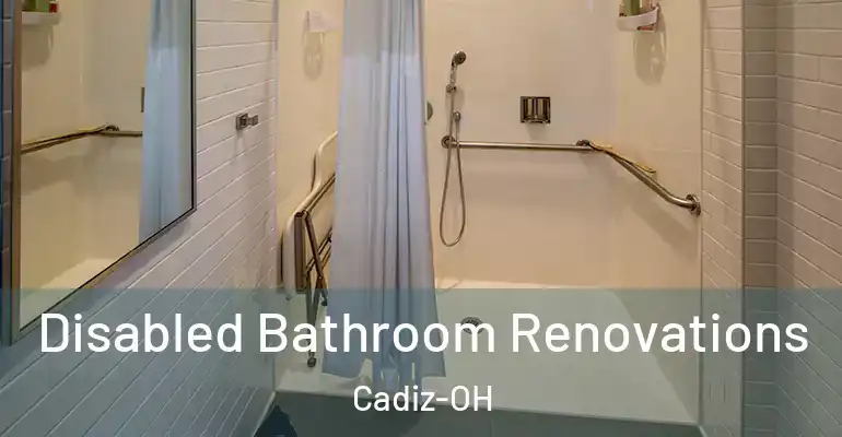 inner Bathroom imggen Disabled Bathroom Renovations Cadiz-OH