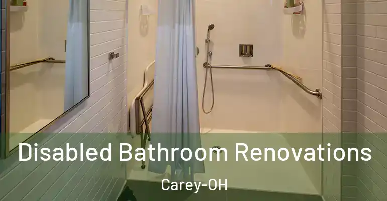 inner Bathroom imggen Disabled Bathroom Renovations Carey-OH