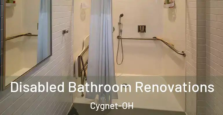 inner Bathroom imggen Disabled Bathroom Renovations Cygnet-OH