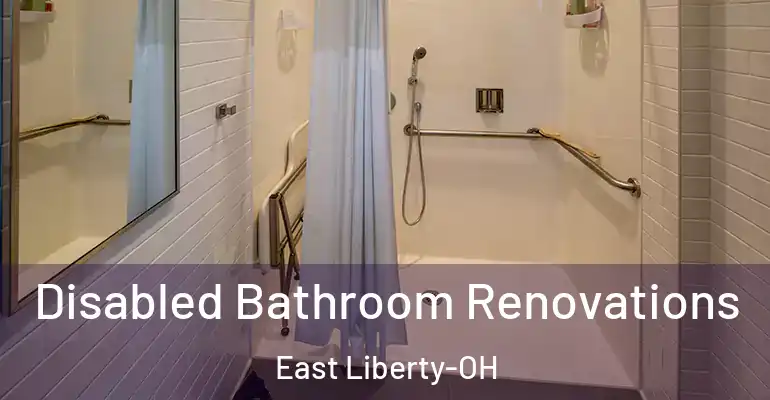 inner Bathroom imggen Disabled Bathroom Renovations East Liberty-OH