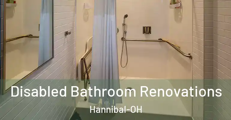 inner Bathroom imggen Disabled Bathroom Renovations Hannibal-OH