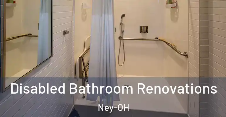 inner Bathroom imggen Disabled Bathroom Renovations Ney-OH