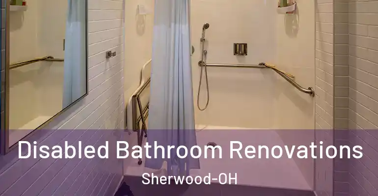 inner Bathroom imggen Disabled Bathroom Renovations Sherwood-OH
