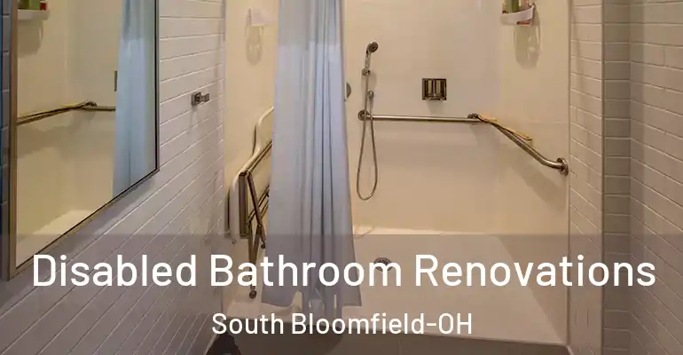 inner Bathroom imggen Disabled Bathroom Renovations South Bloomfield-OH