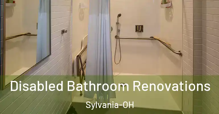 inner Bathroom imggen Disabled Bathroom Renovations Sylvania-OH