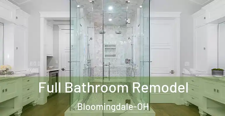 inner Bathroom imggen Full Bathroom Remodel Bloomingdale-OH