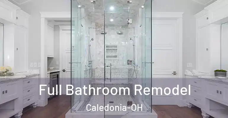 inner Bathroom imggen Full Bathroom Remodel Caledonia-OH