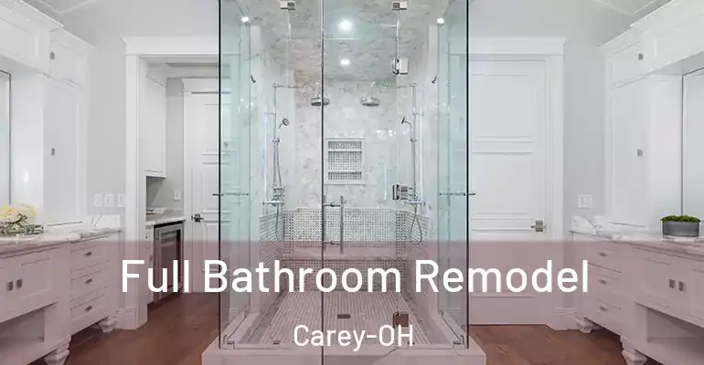 inner Bathroom imggen Full Bathroom Remodel Carey-OH