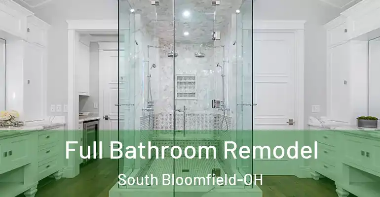inner Bathroom imggen Full Bathroom Remodel South Bloomfield-OH