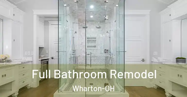 inner Bathroom imggen Full Bathroom Remodel Wharton-OH