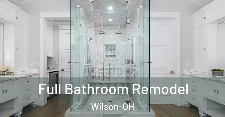 inner Bathroom imggen Full Bathroom Remodel Wilson-OH