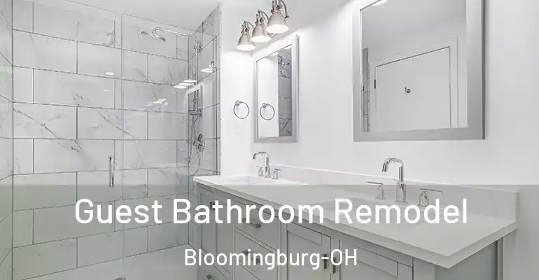 inner Bathroom imggen Guest Bathroom Remodel Bloomingburg-OH