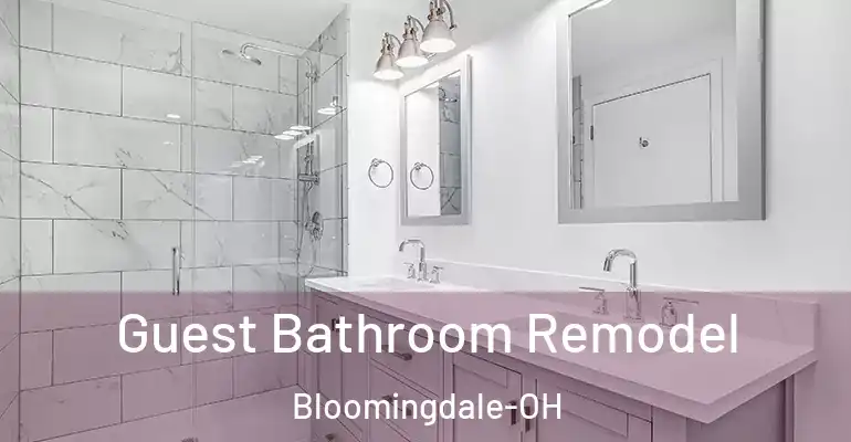 inner Bathroom imggen Guest Bathroom Remodel Bloomingdale-OH