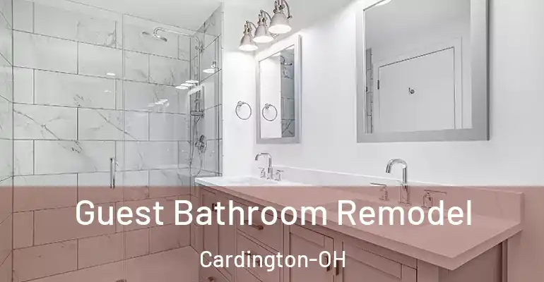 inner Bathroom imggen Guest Bathroom Remodel Cardington-OH